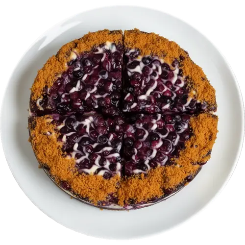 Healthy High Protein Blueberry Cheesecake