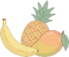 fruit_tropical illustration