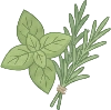 herb_fresh illustration