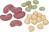 legume_bean illustration
