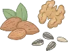 nut_seed illustration