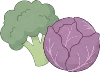 veg_cruciferous illustration