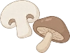 veg_fungi illustration