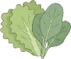 veg_leafy illustration