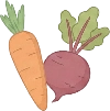veg_root illustration